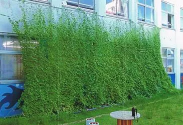越前市 武生第三中学校