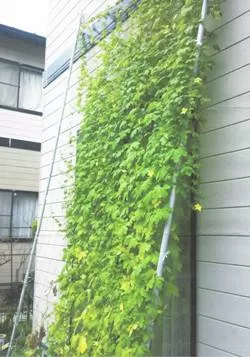 坂井市 Mさん邸