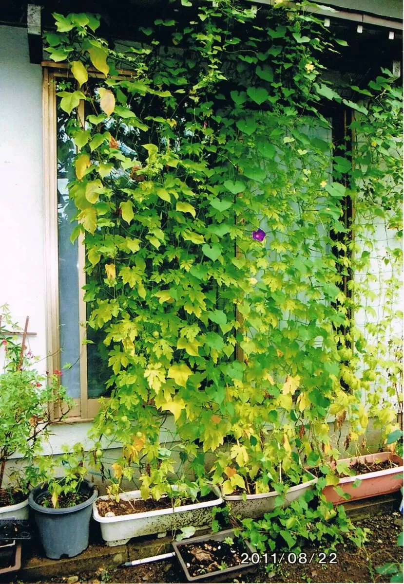 南越前町 Hさん邸